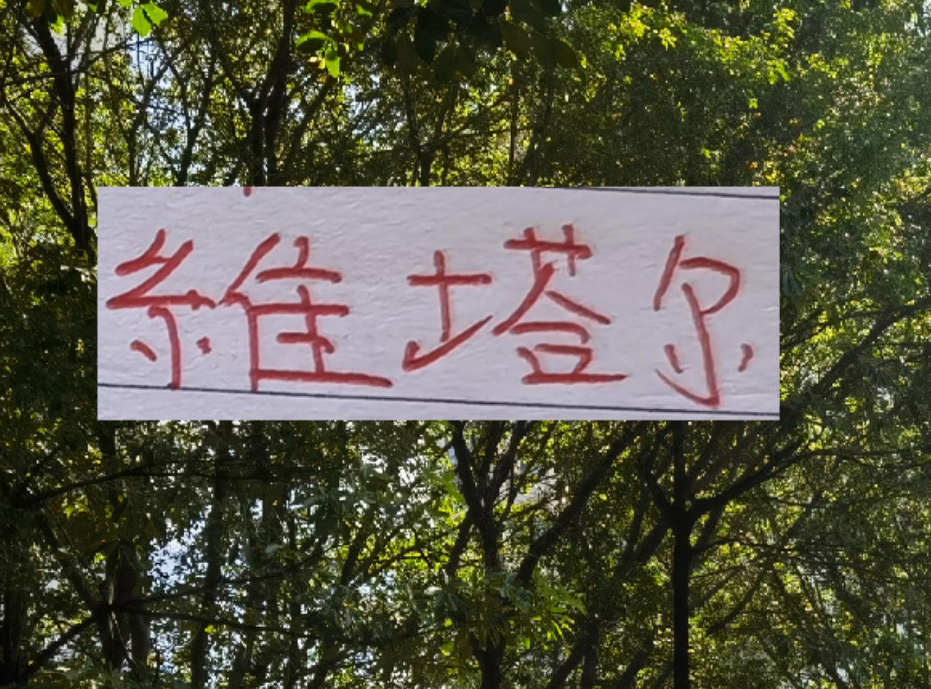 kaiyun-上个赛季中超前4的十号 就海港10号维塔尔助攻最多 出场也最多